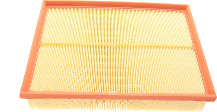 Mann C 31 196