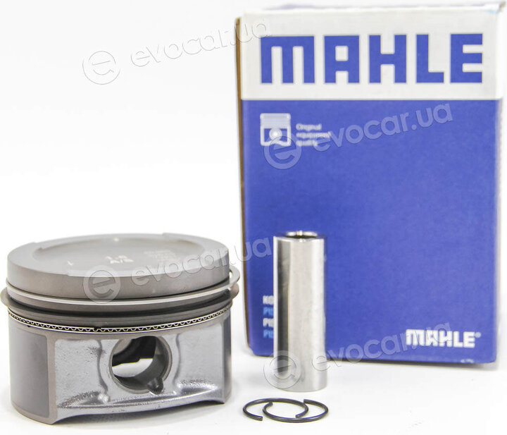 Mahle 033 01 00