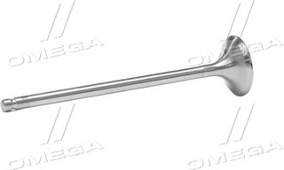 Gunes 6823