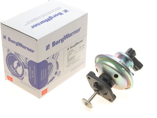 Wahler / BorgWarner 710970D