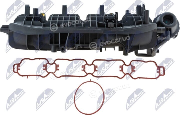 NTY BKS-VW-030