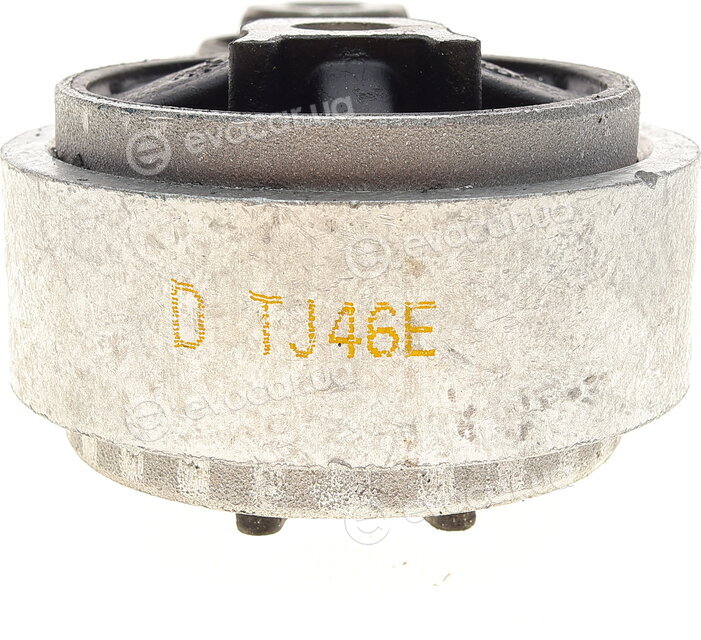 Delphi TEM024