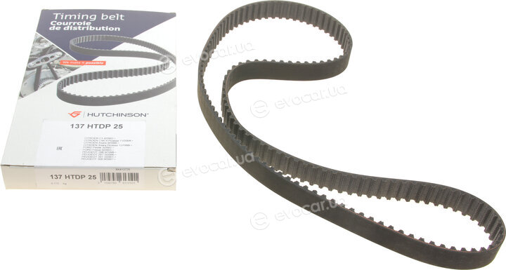 Hutchinson 137 HTDP 25
