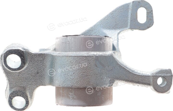SKF VKDS 338516