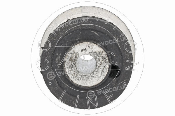AIC 71615