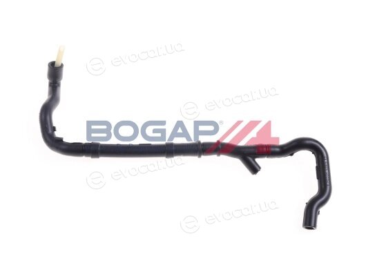 Bogap C1710105
