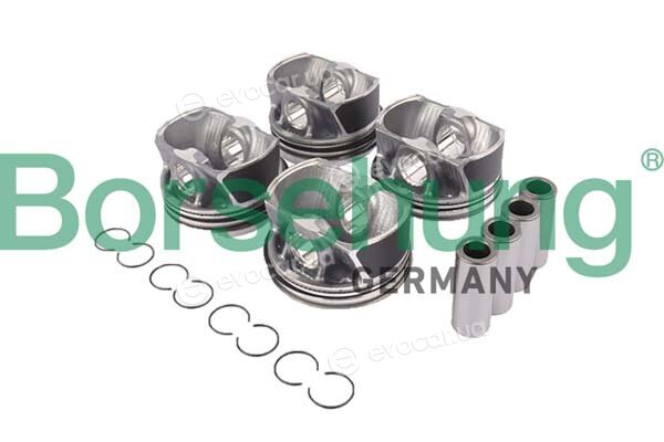 Borsehung B11147