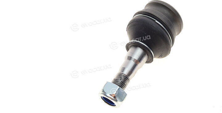 Solgy 203121