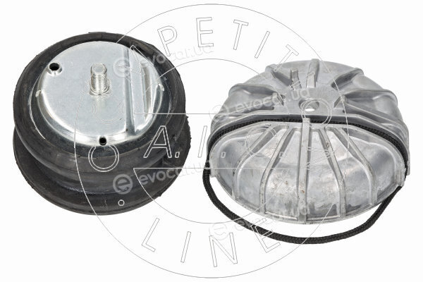 AIC 71566