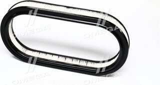 Champion CAF100226R
