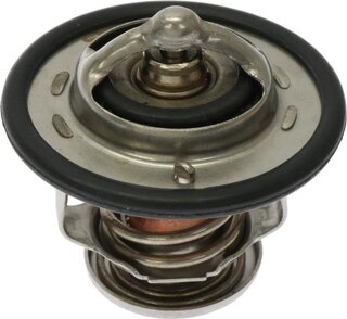 Starline TS T113.88T