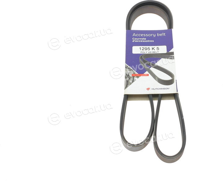 Hutchinson 1295 K 5