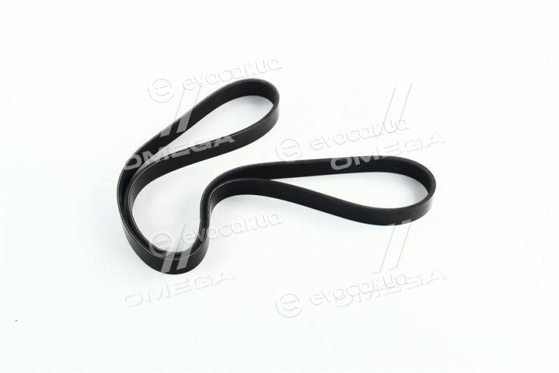 Dayco 6PK1295
