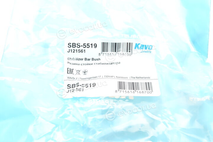 Kavo SBS-5519