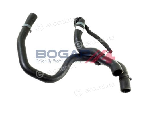 Bogap A4228441