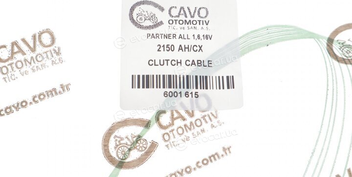 Cavo 6001 615