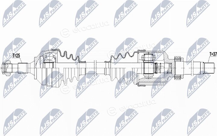 NTY NPW-PE-081
