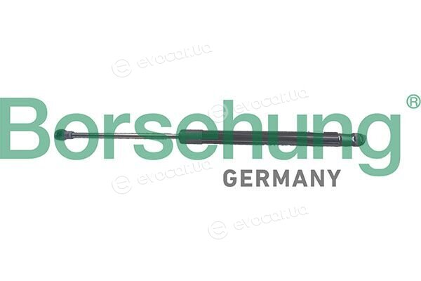 Borsehung B13091