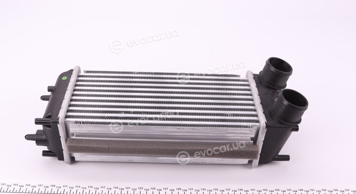 NRF 30979