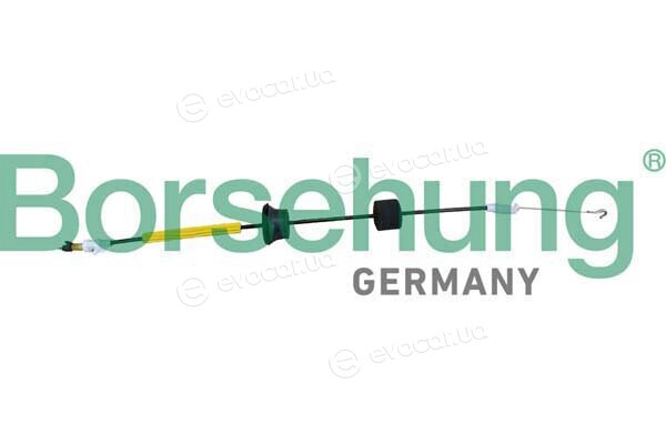 Borsehung B10787