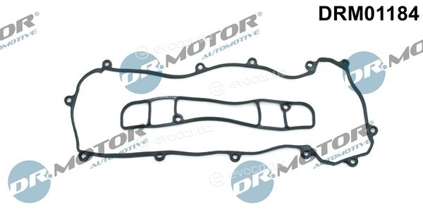 Dr. Motor DRM01184