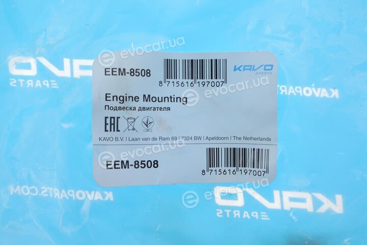 Kavo EEM-8508