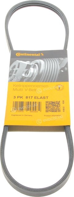Continental 3PK817 ELAST