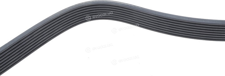 Dayco 8PK1795HD
