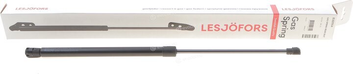 Lesjofors 8182914