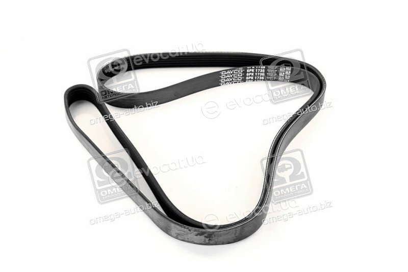 Dayco 6PK1736