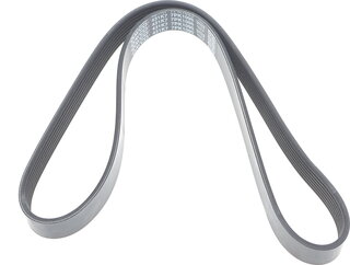 Dayco 7PK1095
