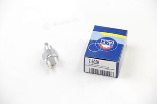 Facet 7.6029