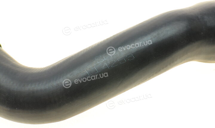 Solgy 114253