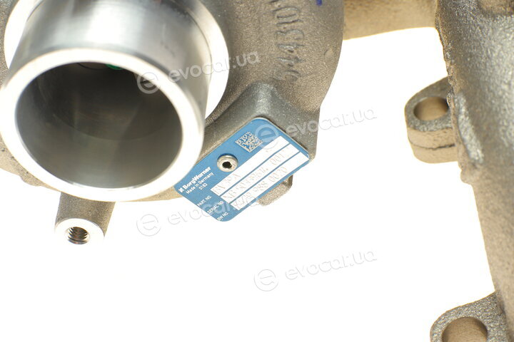 BorgWarner 54399880020