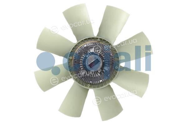 Cojali 7085120