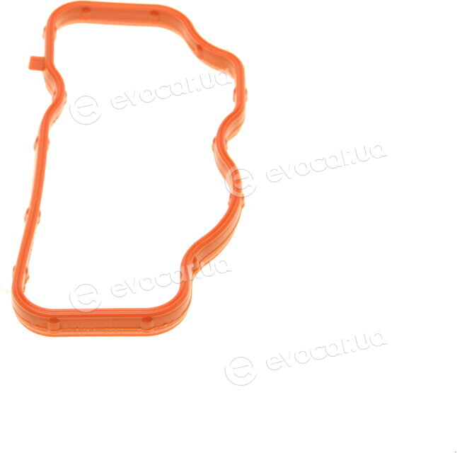 Solgy 113014