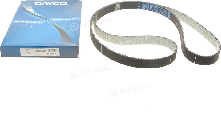 Dayco 941011
