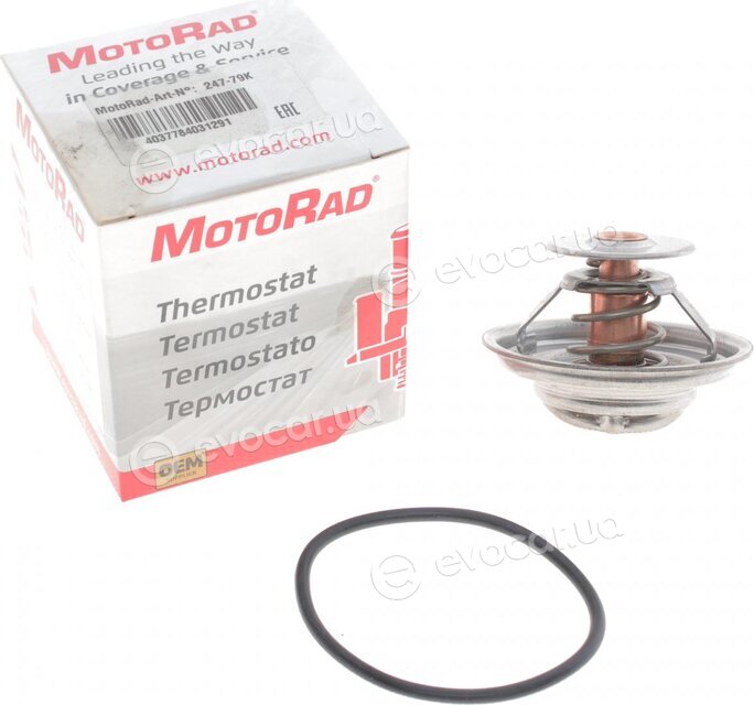 Motorad 247-79K