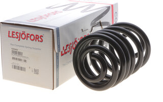 Lesjofors 4263463
