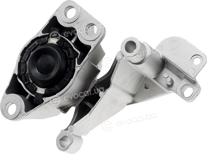 NTY ZPS-RE-008