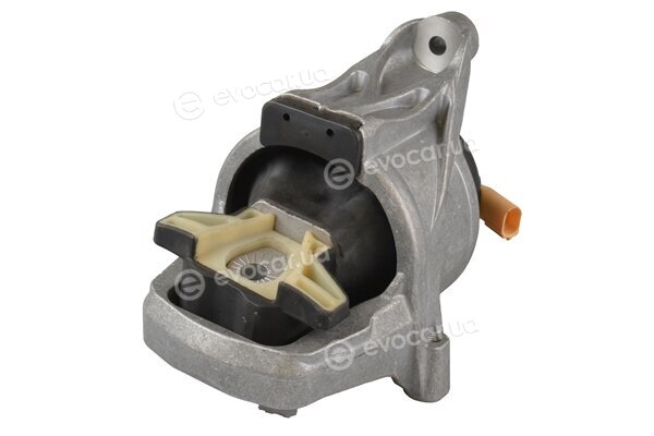 Tedgum TED80747