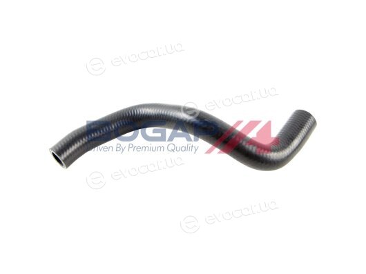 Bogap C4228147