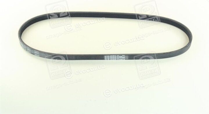 Continental 4PK916 ELAST