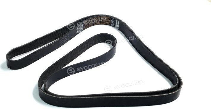 Dayco 8PK2555HD