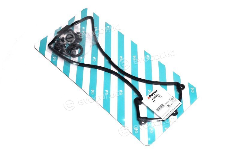 Payen HM5297