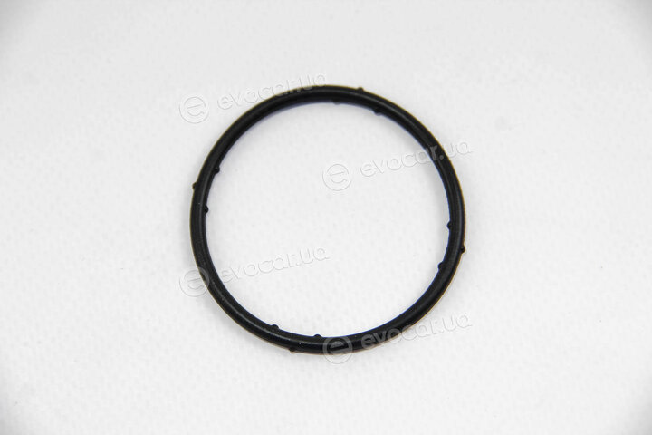 Elring 625.270