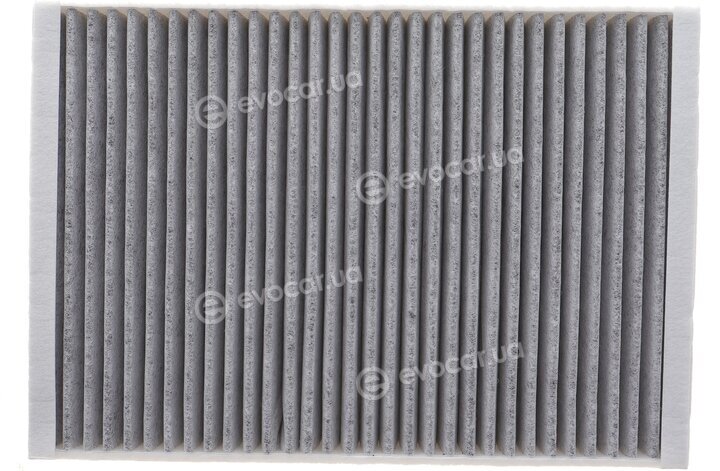 Solgy 104142