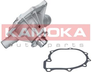 Kamoka T0189