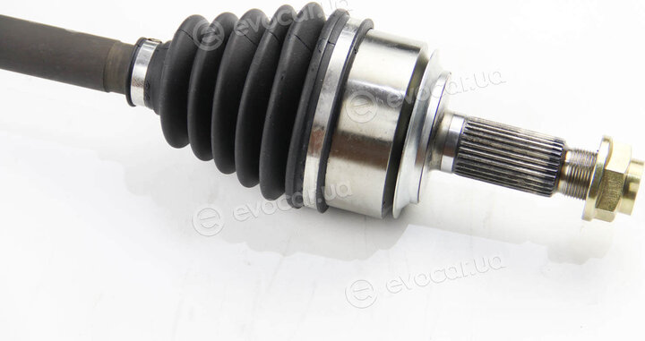 BGA DS2520L