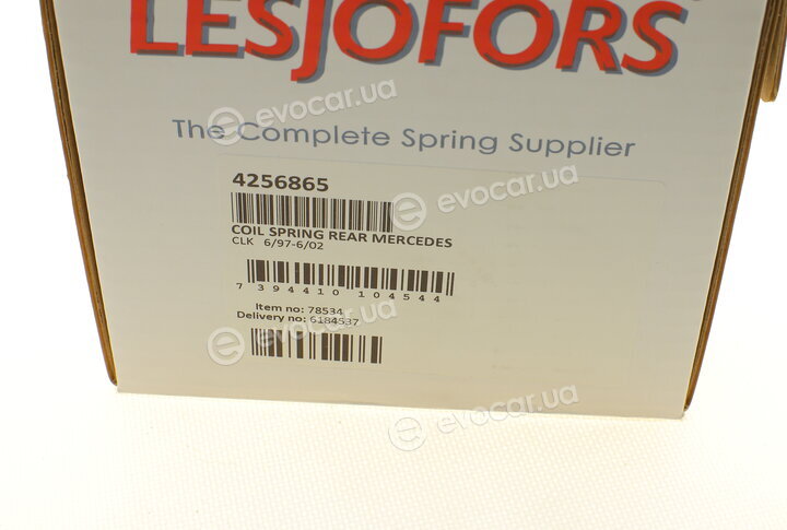 Lesjofors 4256865